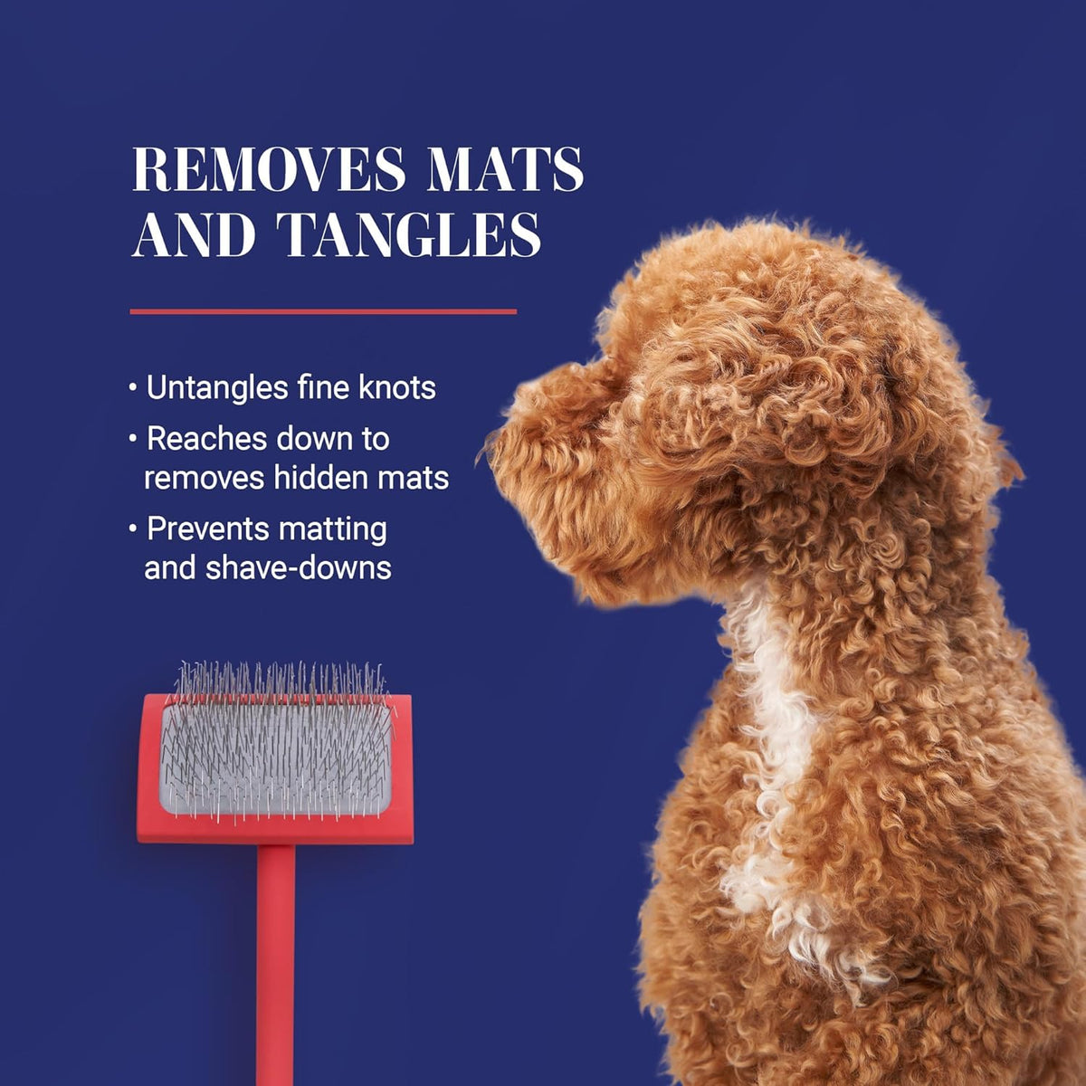 Big G Professional Slicker Brush for Dogs (Goldendoodles, Labradoodles, Poodles) - Efficient Grooming Tool for Fluffing, Detangling, and Styling - Coral, Large