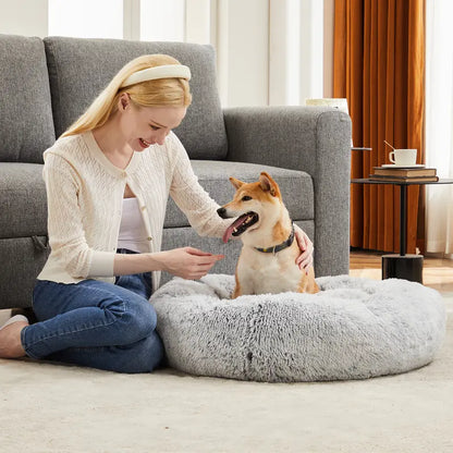 Sweetcrispy Modern Orthopedic Memory Foam Pet Bed for Large Dogs - 3-Sided Bolsters, 20.0"L X 24.0"W X 8.0"Th, Waterproof Detachable Cover, Non-Slip Base, Joint Relief, Consistent Support, Pressure Ease, Supportive Sofa, Allows 24 to 48 Hours Recovery