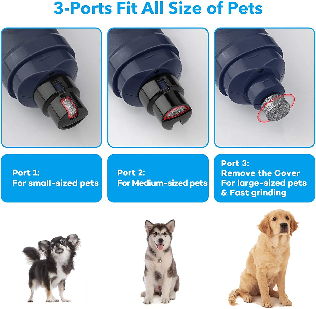 Advanced Dual LED Dog Nail Grinder - 2-Speed Electric Trimmer for Quiet, Painless Grooming of Small to Large Dogs and Cats (Blue)
