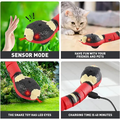 USB Rechargeable Interactive Snake Toy – Smart Sensing, Obstacle-Avoiding Cat Toy