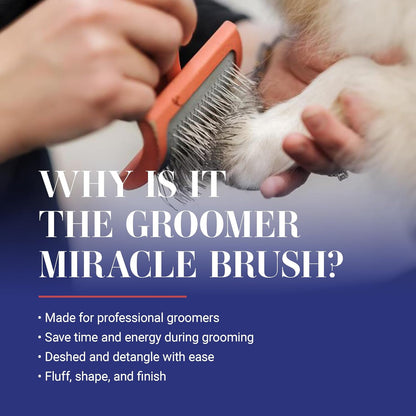 Big G Professional Slicker Brush for Dogs (Goldendoodles, Labradoodles, Poodles) - Efficient Grooming Tool for Fluffing, Detangling, and Styling - Coral, Large