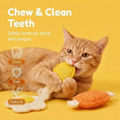 3-Pack Natural Loofah Pet Chew Toys – Catnip & Silvervine Dental Toys