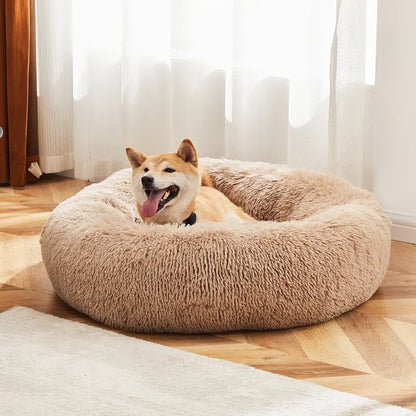 Sweetcrispy Modern Orthopedic Memory Foam Pet Bed for Large Dogs - 3-Sided Bolsters, 20.0"L X 24.0"W X 8.0"Th, Waterproof Detachable Cover, Non-Slip Base, Joint Relief, Consistent Support, Pressure Ease, Supportive Sofa, Allows 24 to 48 Hours Recovery