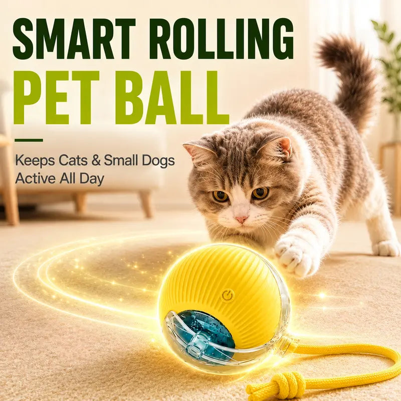 Interactive Smart Chew-Resistant Dog Ball Toy – Automatic Obstacle Avoidance