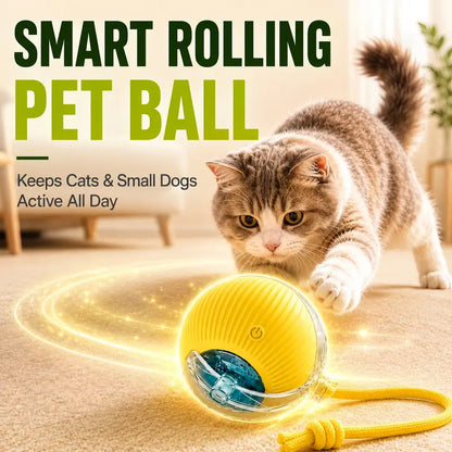 Interactive Smart Chew-Resistant Dog Ball Toy – Automatic Obstacle Avoidance