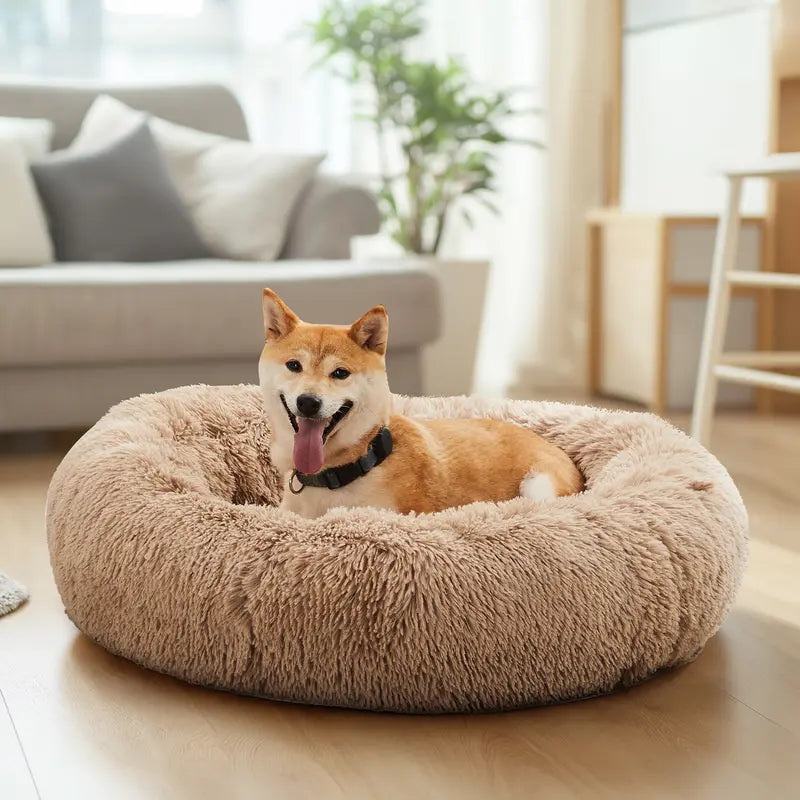 Sweetcrispy Modern Orthopedic Memory Foam Pet Bed for Large Dogs - 3-Sided Bolsters, 20.0"L X 24.0"W X 8.0"Th, Waterproof Detachable Cover, Non-Slip Base, Joint Relief, Consistent Support, Pressure Ease, Supportive Sofa, Allows 24 to 48 Hours Recovery
