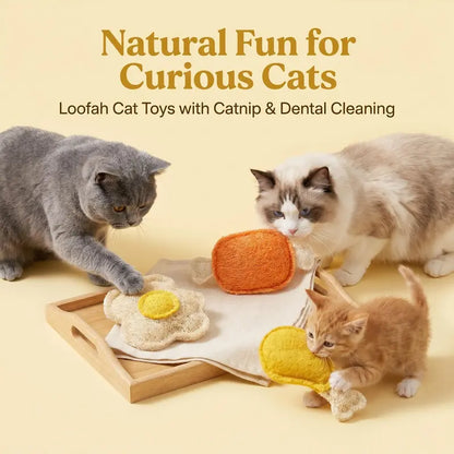 3-Pack Natural Loofah Pet Chew Toys – Catnip & Silvervine Dental Toys